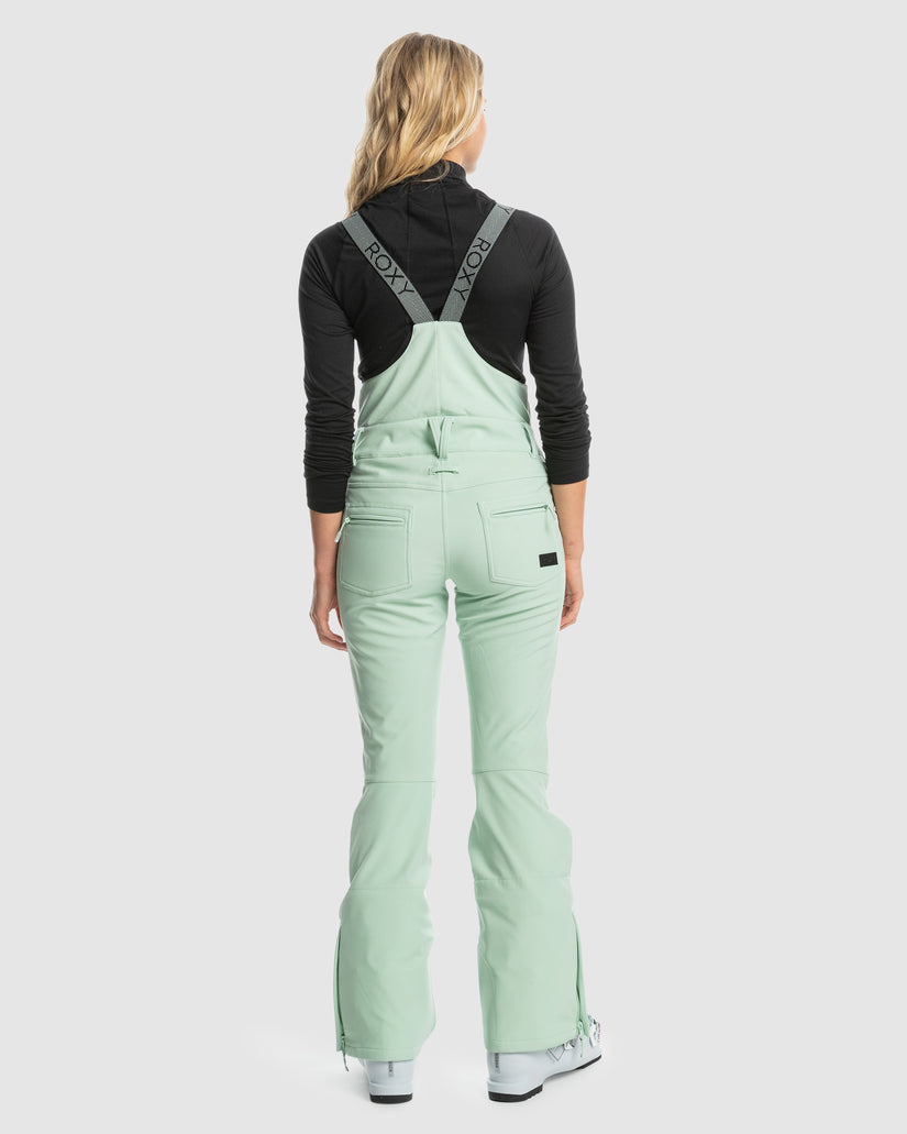 Womens Summit Technical Snow Bib Pants