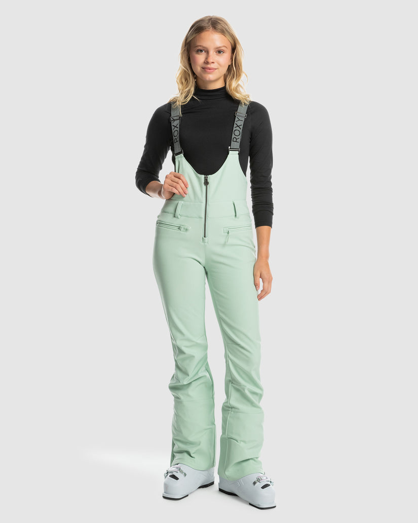 Womens Summit Technical Snow Bib Pants