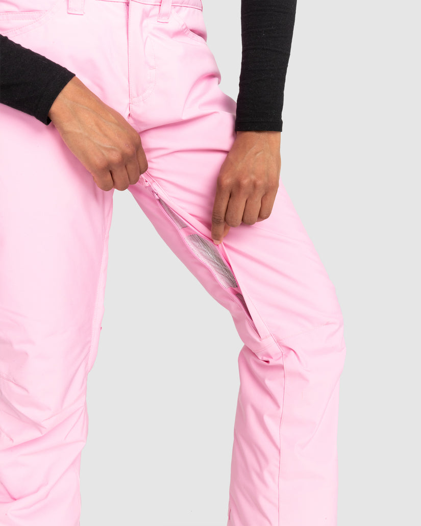 Womens Backyard Technical Snow Pants