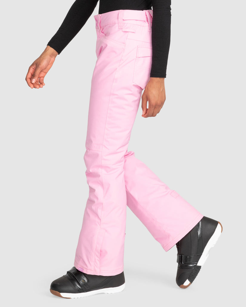 Womens Backyard Technical Snow Pants