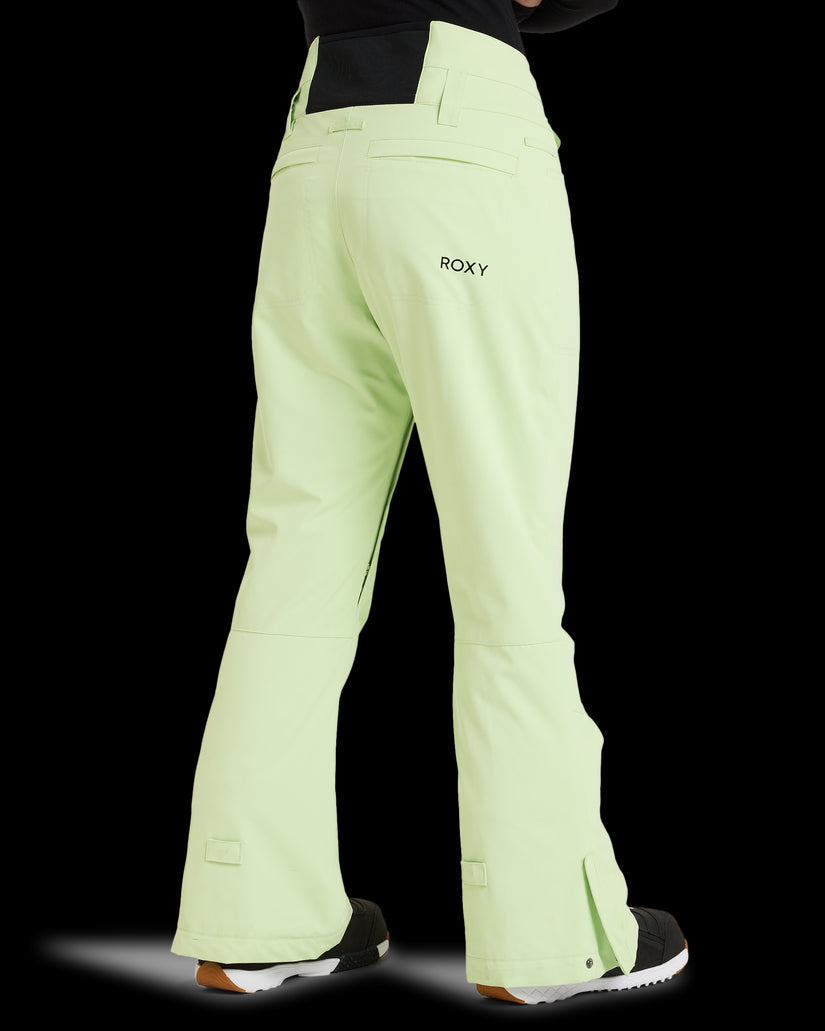 Womens Diversion  Snow Pant