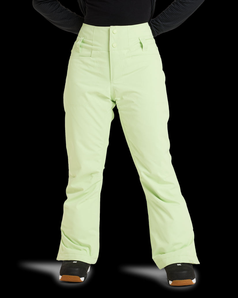 Womens Diversion  Snow Pant